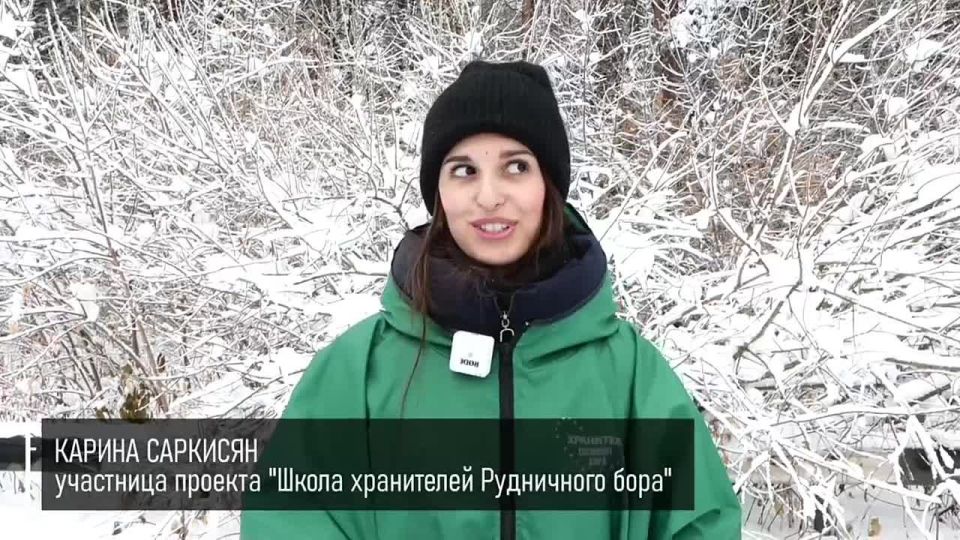 В Рудничном бору волонтеры освободили от инвазивного клена около 1,5 гектара территории