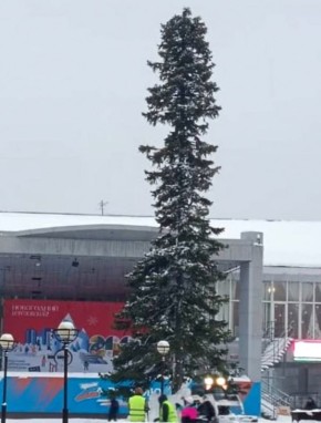 Жители Берёзовского в Кемеровской области высмеяли в сети главную ёлку города