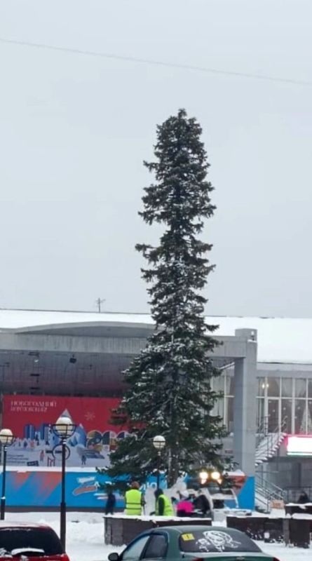 Найдена самая задолбавшаяся новогодняя елка в России