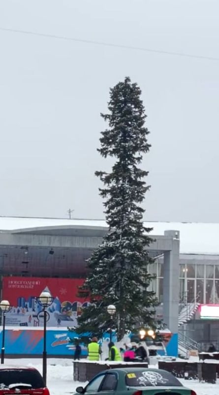 Власти кузбасского города Берёзовский рассказали, что главная ель больше не выглядит как туалетный ёршик
