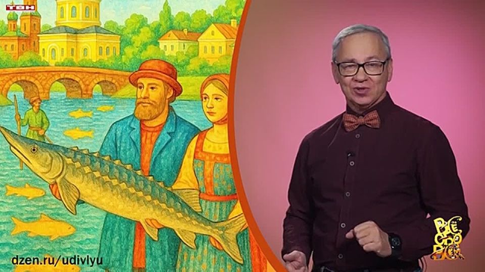 Всё обо всём. Калуга. Выпуск от 26.11.25