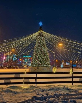 Ёлки зажгутся в первый день зимы