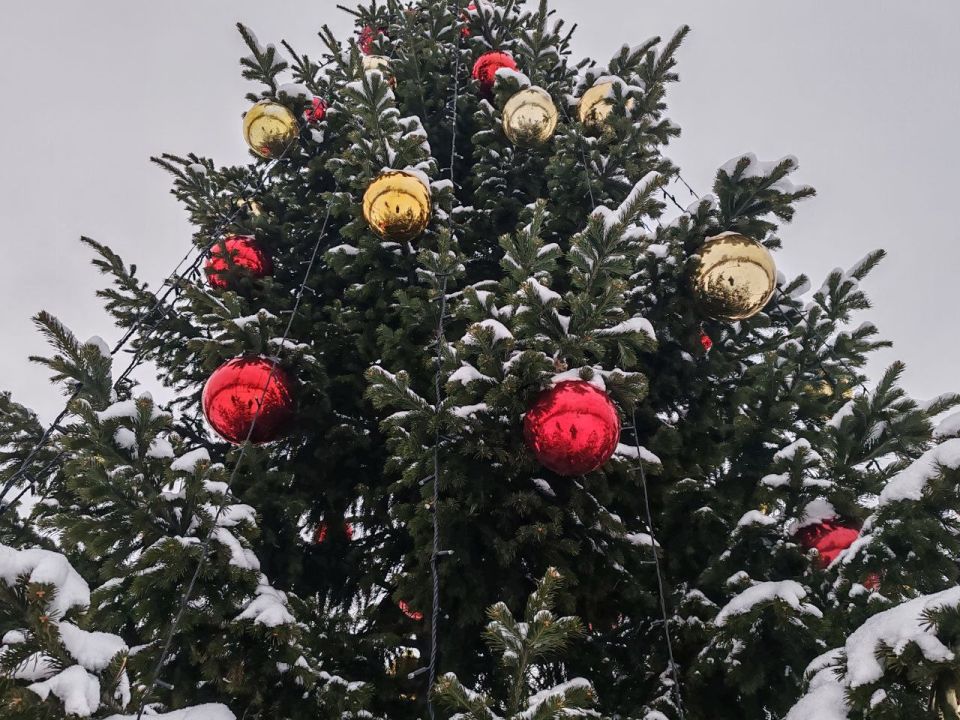 «Новогодний Кузбасс. Большие сибирские каникулы всей семьей» «Новогодний Кузбасс. Большие сибирские каникулы всей семьей»