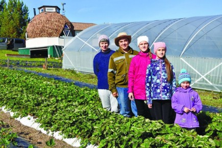Фермер из Прокопьевского округа планирует выращивать до 2 тонн клубники в год