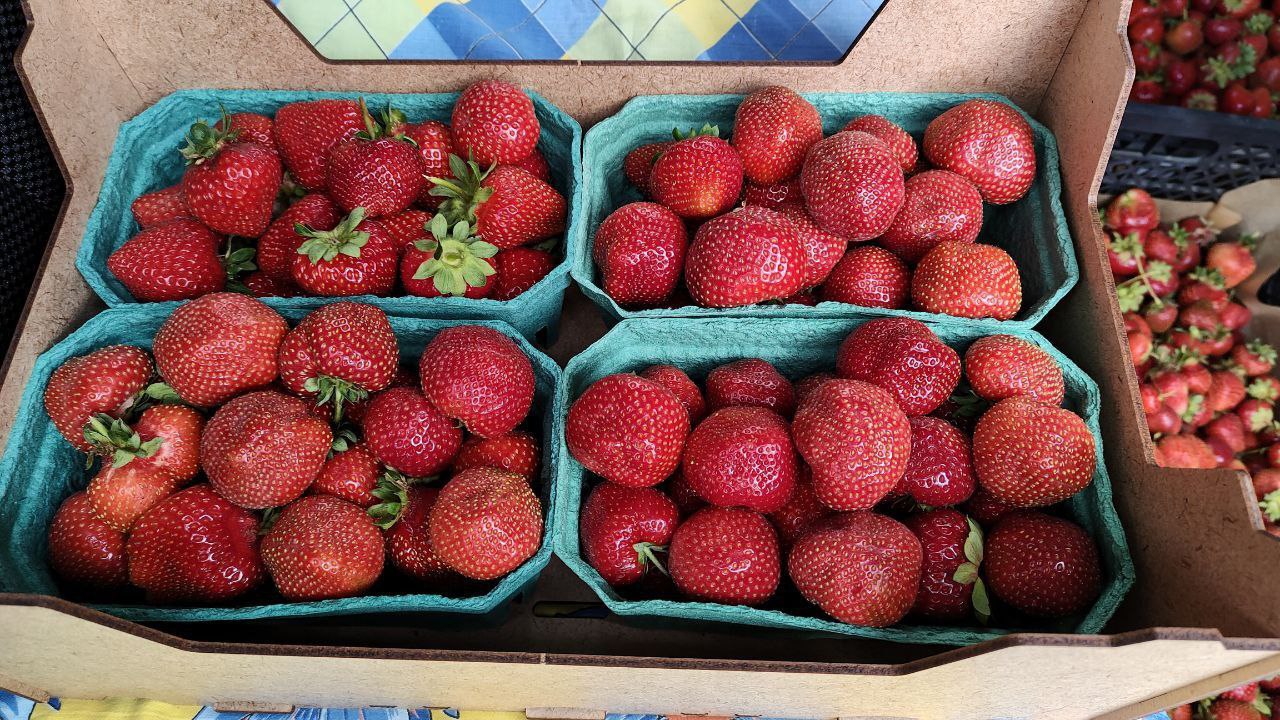 Фермер из Прокопьевского округа планирует выращивать до 2 тонн клубники в год Фермер из Прокопьевского округа планирует выращивать до 2 тонн клубники в год