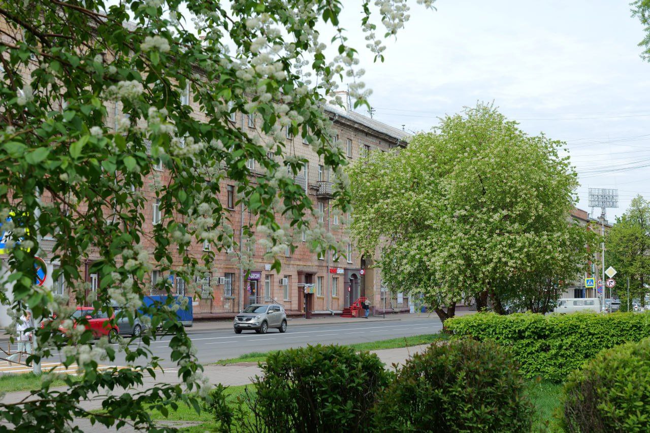 От Томи до памятника первооткрывателю кузнецкого угля Михайле Волкову: улица Весенняя в Кемерове соединила историю, культуру и мечты молодёжи От Томи до памятника первооткрывателю кузнецкого угля Михайле Волкову: улица Весенняя в Кемерове соединила историю, культуру и мечты молодёжи