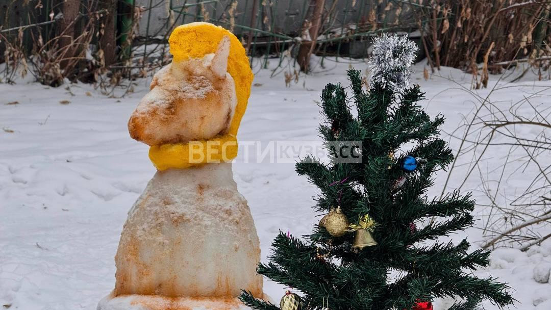 Украсили свой двор к Новому году? Присылайте нам! Украсили свой двор к Новому году? Присылайте нам!