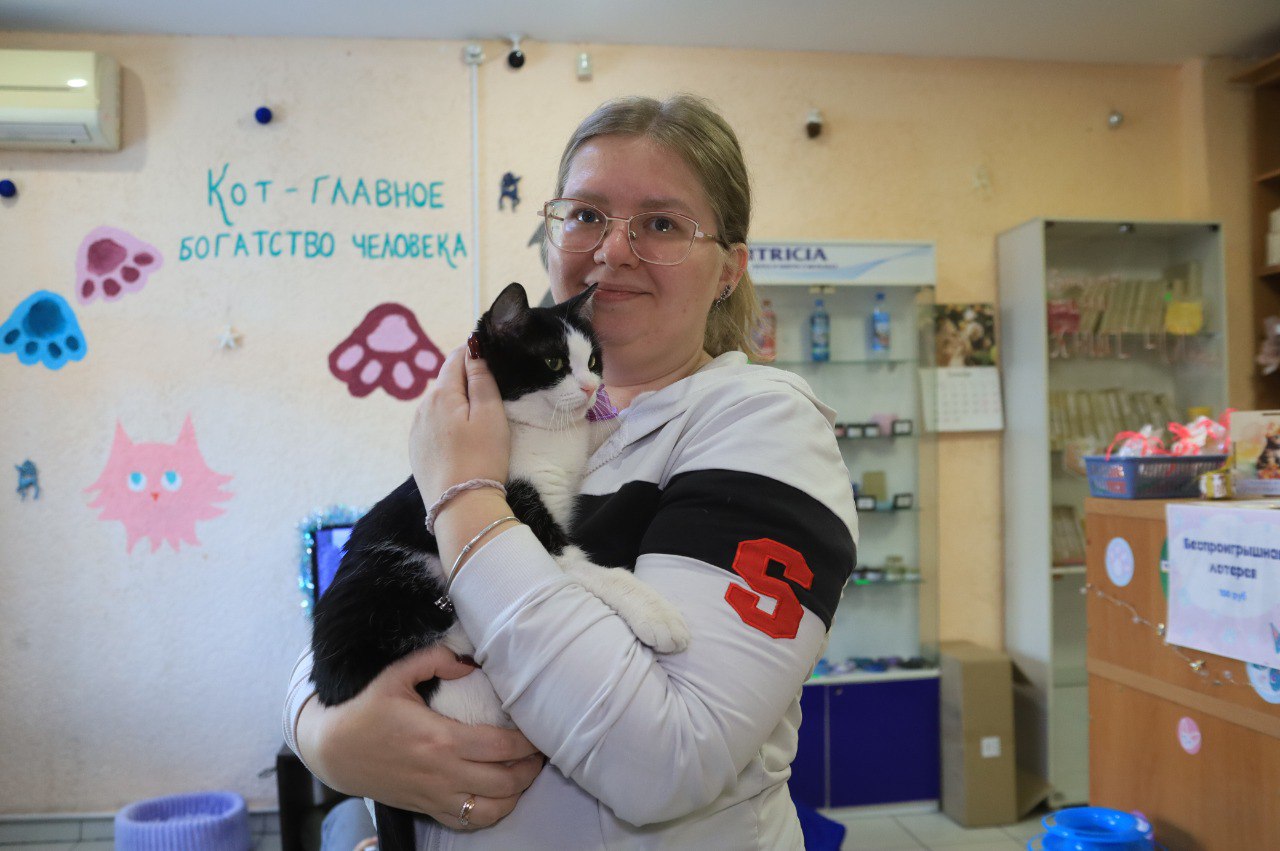 От мечты к делу. Уже три года в Новокузнецке работает «МяуCafe» – пространство для общения с кошками, игр и творчества От мечты к делу. Уже три года в Новокузнецке работает «МяуCafe» – пространство для общения с кошками, игр и творчества