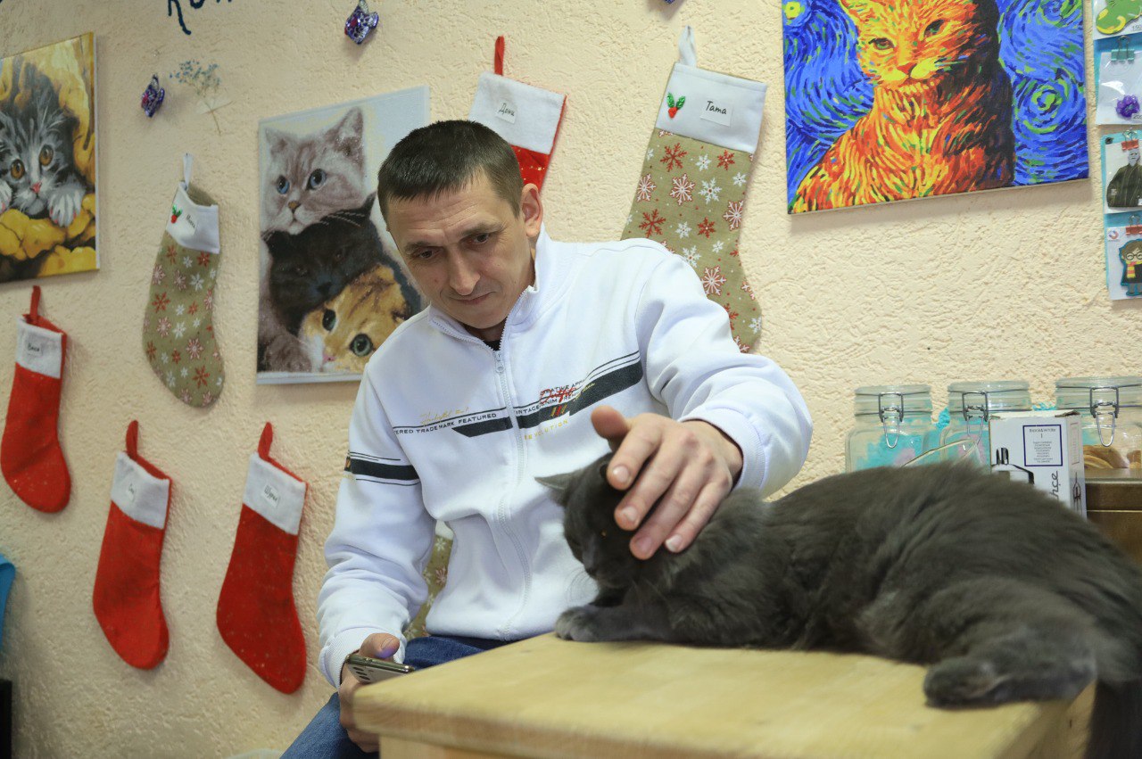 От мечты к делу. Уже три года в Новокузнецке работает «МяуCafe» – пространство для общения с кошками, игр и творчества От мечты к делу. Уже три года в Новокузнецке работает «МяуCafe» – пространство для общения с кошками, игр и творчества