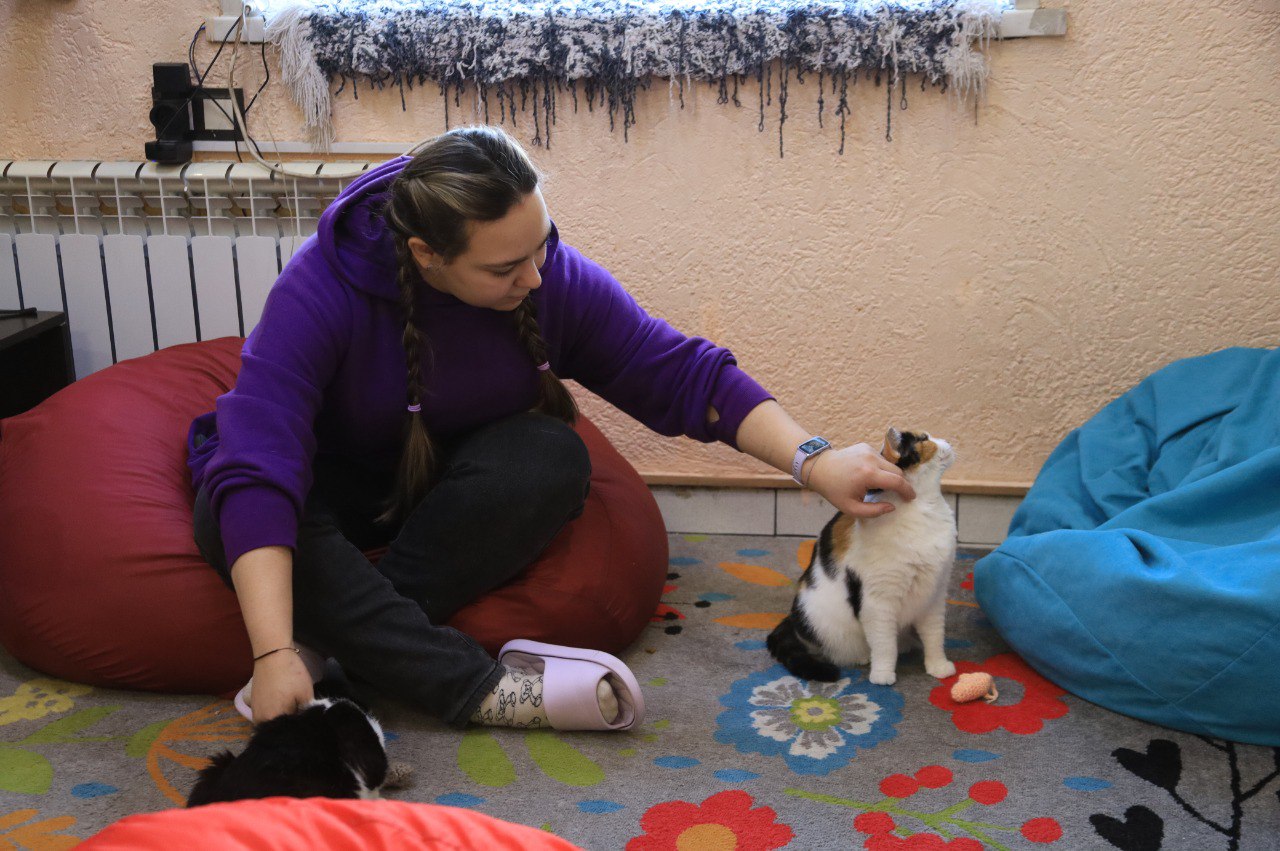 От мечты к делу. Уже три года в Новокузнецке работает «МяуCafe» – пространство для общения с кошками, игр и творчества От мечты к делу. Уже три года в Новокузнецке работает «МяуCafe» – пространство для общения с кошками, игр и творчества