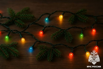 Опасно красивы: МЧС России напоминает о правилах эксплуатации новогодних гирлянд