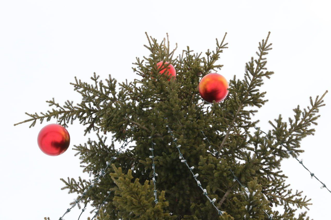В жилом районе Лесная поляна в снежном городке построят горки, каток, фотозону и ледовый лабиринт В жилом районе Лесная поляна в снежном городке построят горки, каток, фотозону и ледовый лабиринт