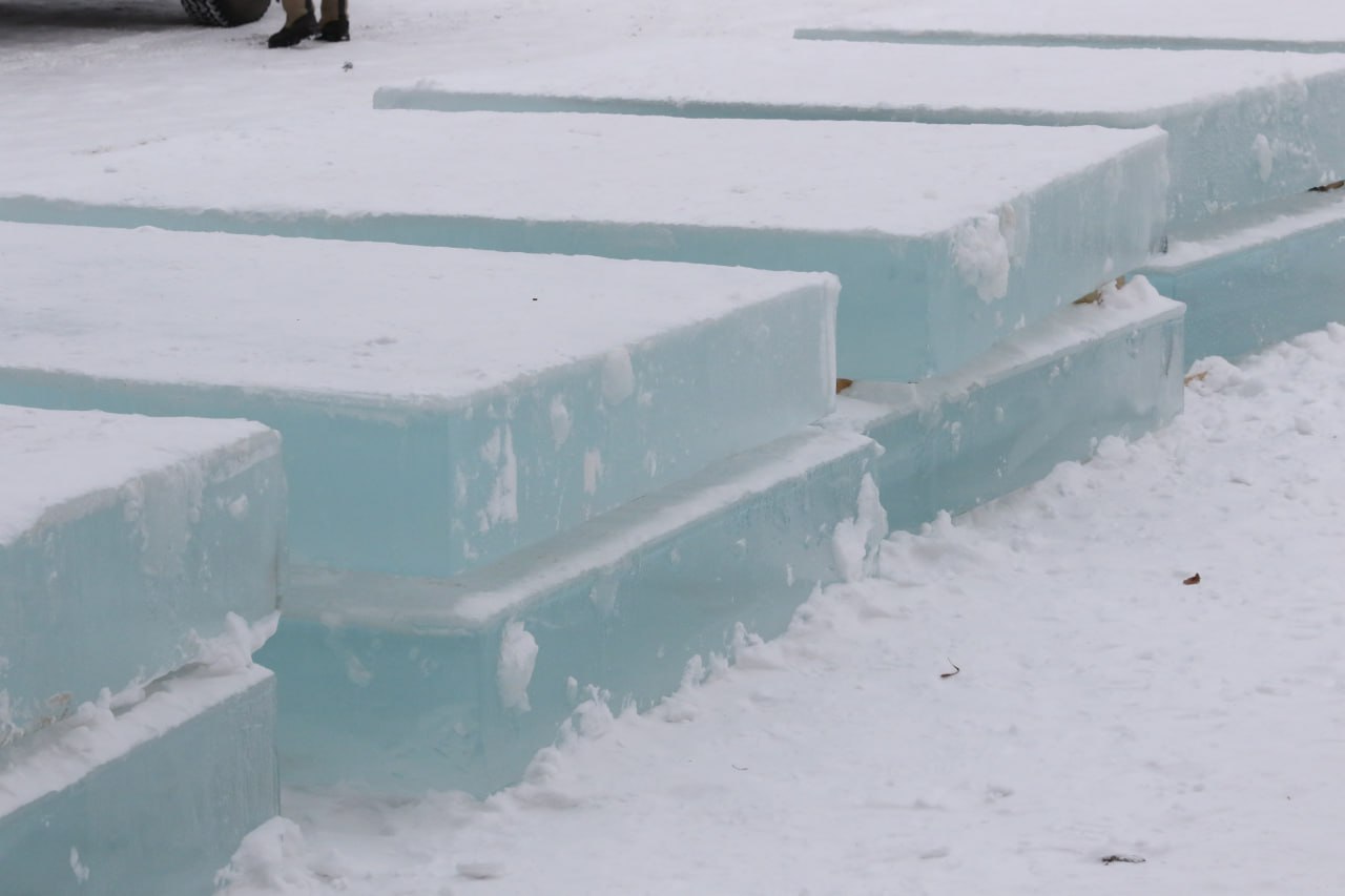 Ледяные Мамонт и Мамонтёнок появятся в жилом районе Кедровка Ледяные Мамонт и Мамонтёнок появятся в жилом районе Кедровка