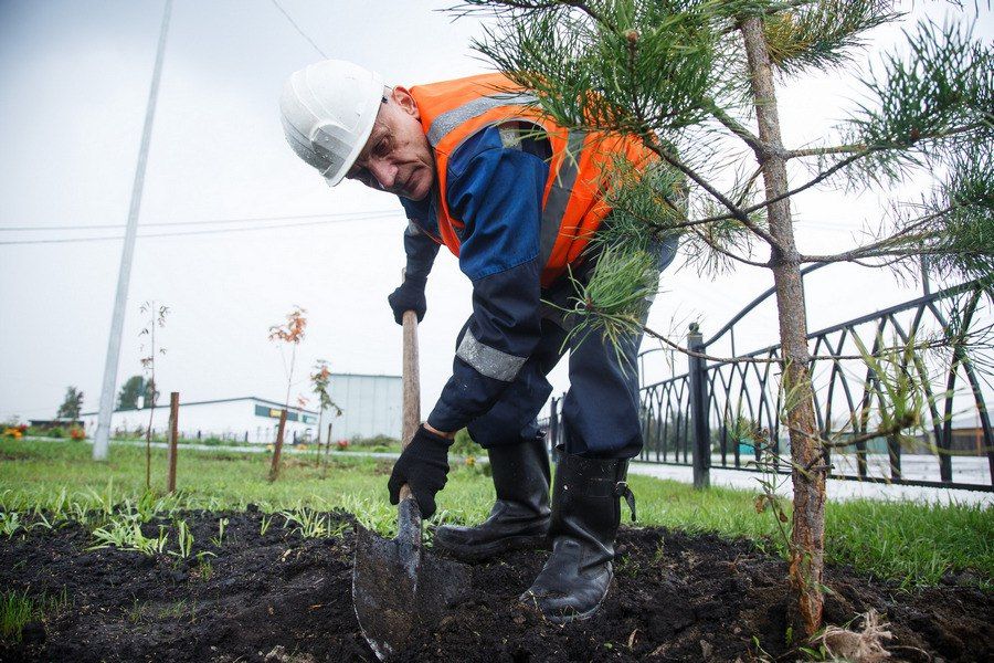 1 "������������������" ��������������� ����� 100 �� ������ � 2025 ����