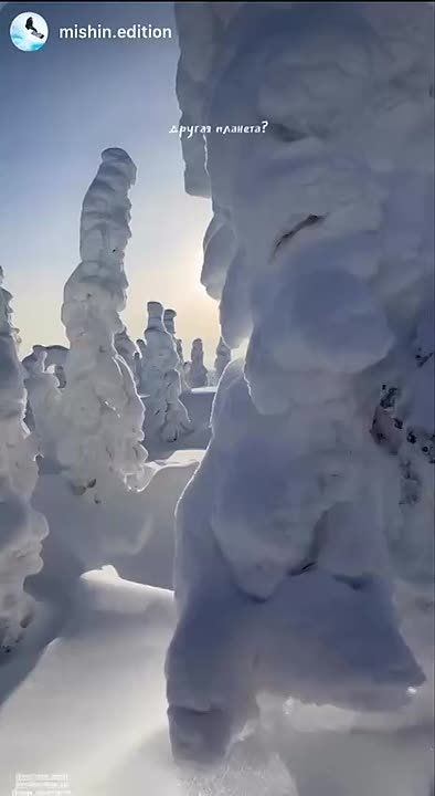 ������ ����! ������� � �������� ������� � ������������, ��������������� ��� �������, ������� ������, ��������, �����