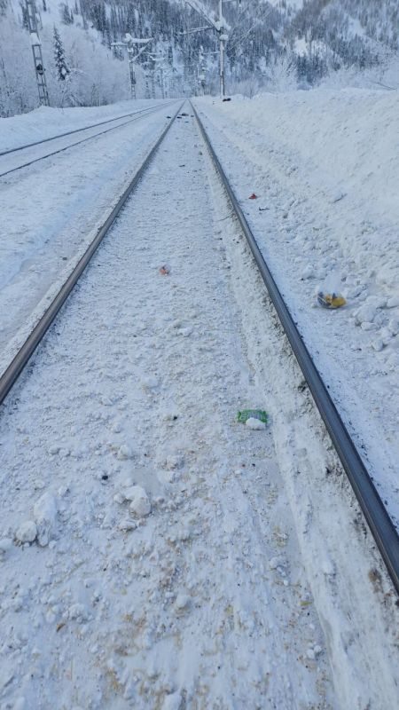 ������������ ����������� �������� �� ����� ������������ ������������� ������� � ��������