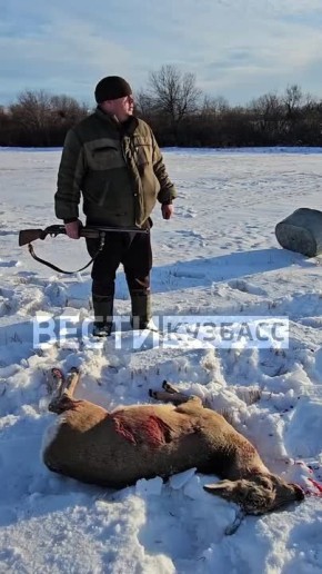 Добыть вторую косулю браконьеру помешали охотоинспекторы