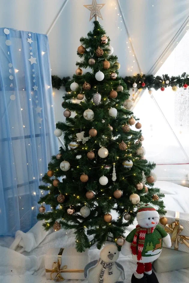 Усадьба Деда Мороза заработала в Кемерове на территории Дворца культуры шахтёров Усадьба Деда Мороза заработала в Кемерове на территории Дворца культуры шахтёров