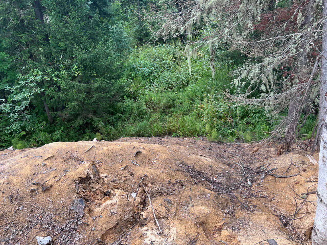 В Кемеровской области – Кузбассе по иску прокуратуры с предпринимателя взыскано 7 млн рублей ущерба, причиненного окружающей среде В Кемеровской области – Кузбассе по иску прокуратуры с предпринимателя взыскано 7 млн рублей ущерба, причиненного окружающей среде