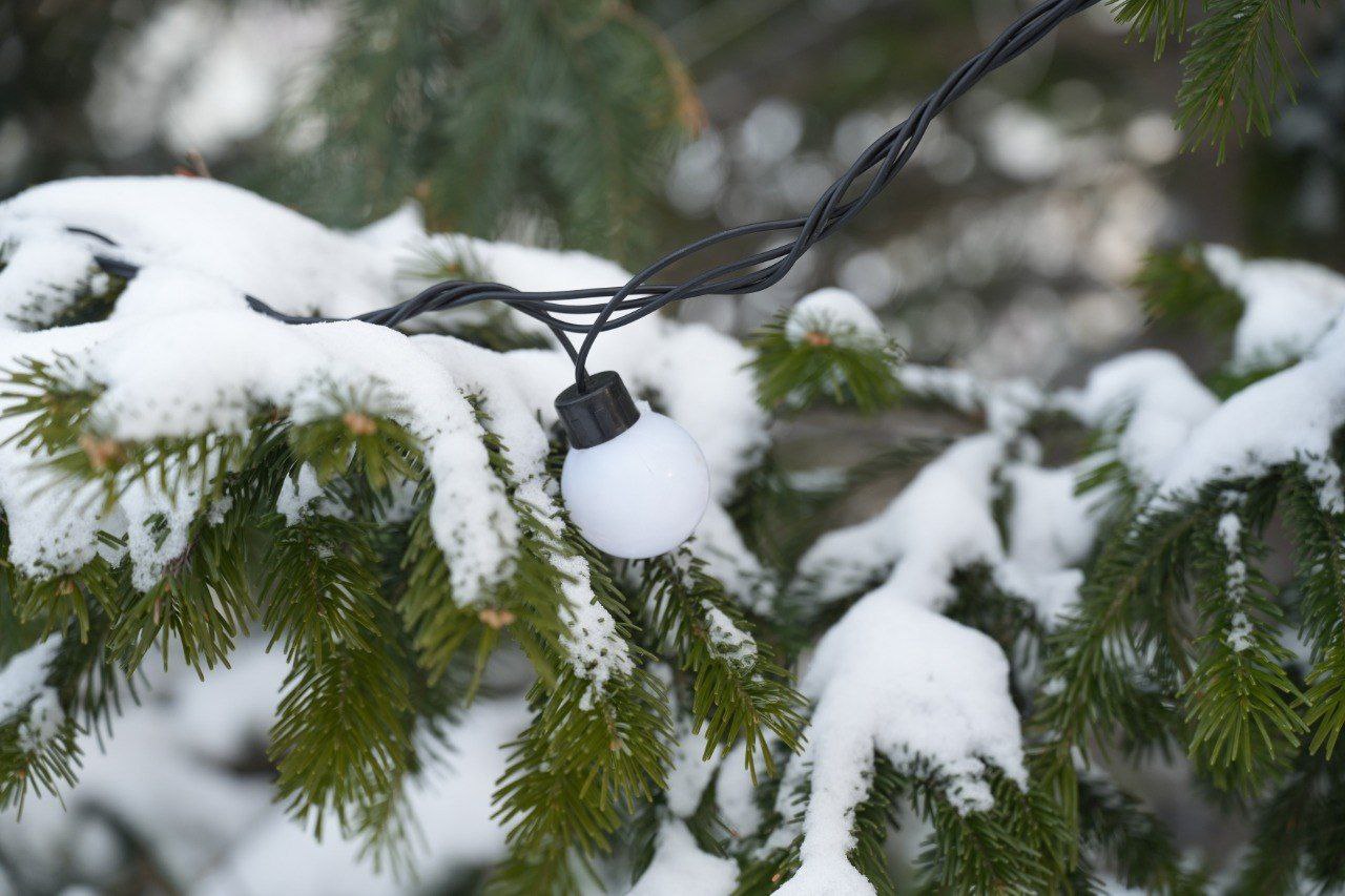 Ледовый городок совсем скоро появится в Рудничном районе города Ледовый городок совсем скоро появится в Рудничном районе города