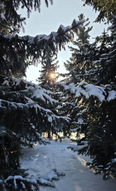 �������� ������� ����. �������� ����� ����� ����� ������ ������ ������� ������� ��������