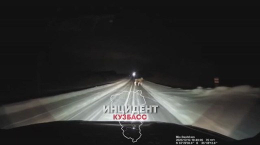 Лось внезапно появился в свете фар