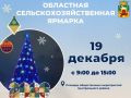 19 декабря на Площади общественных мероприятий Центрального района пройдет областная сельскохозяйственная ярмарка, посвященная Новому году
