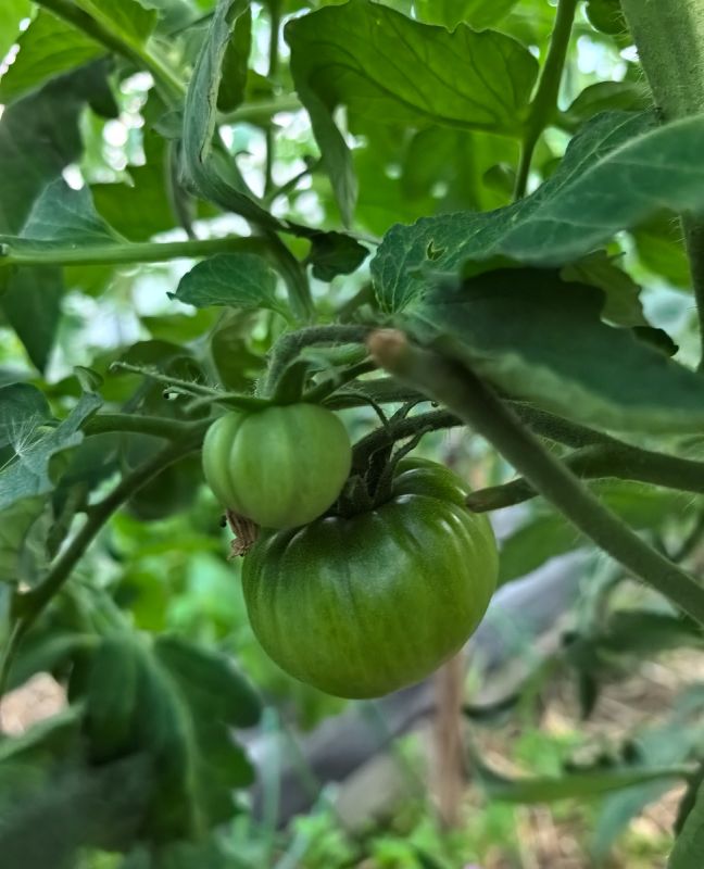 ������ ������� ������� �����: ��� ��������� ������������� � �������� ��������