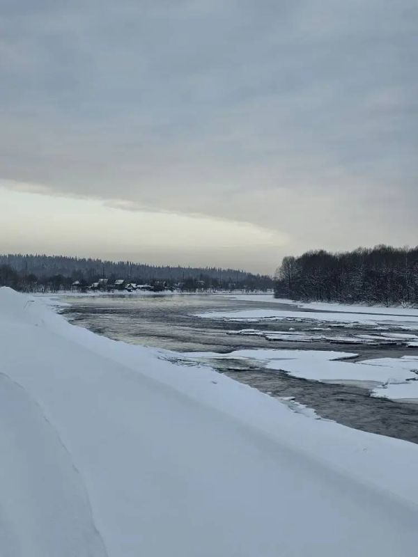 2,4�� ������������: � ����������� ������� ����� ������������ ����� �� ���� ����