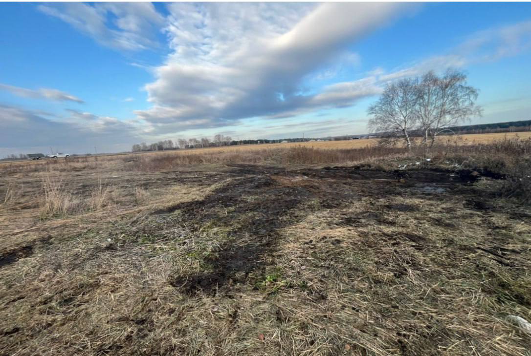 Комплексный план декриминализации сферы экологии и природопользования в действии Комплексный план декриминализации сферы экологии и природопользования в действии