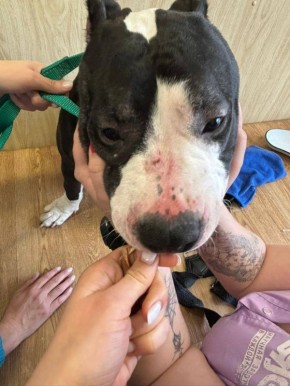 3, 5 ���� �������-��������� ������� ������ �� ������������