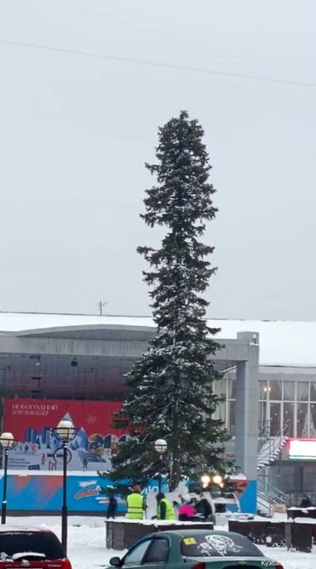 ���������� - ����������: ���� �������� 2026, ������� ��� �������