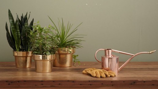 � ������ ������ ����� � ������ �� ���������: �������� ����� ������� ���������