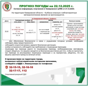 ������� ������ �� 22 �������