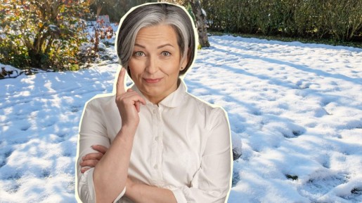 ����������� ����� �� �������: �������� ��� � ������ ��������� � ���� ����� ������