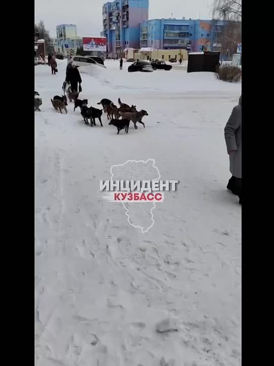 ���� ����� � ���������. ������ � �������� ��������, �������� � �����������, ��������� � ������ � ����� �� ������