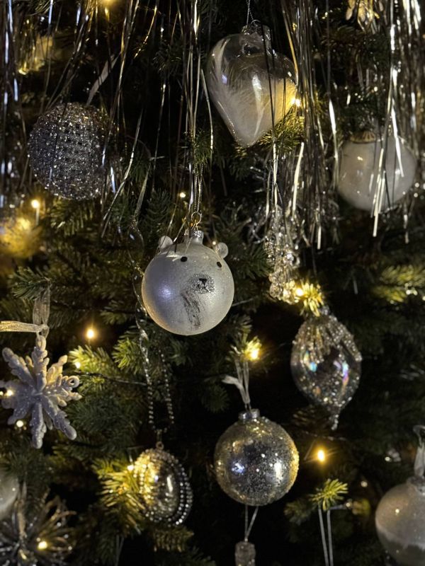 �������� ��������� ������������� ����