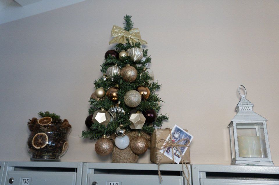 ������ ������ ������ ������ ������� ��������� � �������� �������� �����������