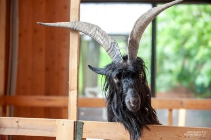 ������� �� �������� �������� �� ������ ���������� �� ��������������