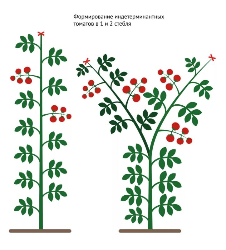 ������� ������������ �������: ��� ������� ������ �� ���������