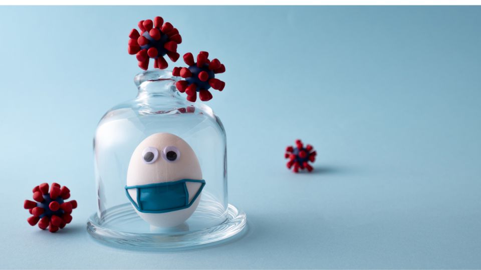 ��� �������� ���� ���������: ����������� ���� ��� �������