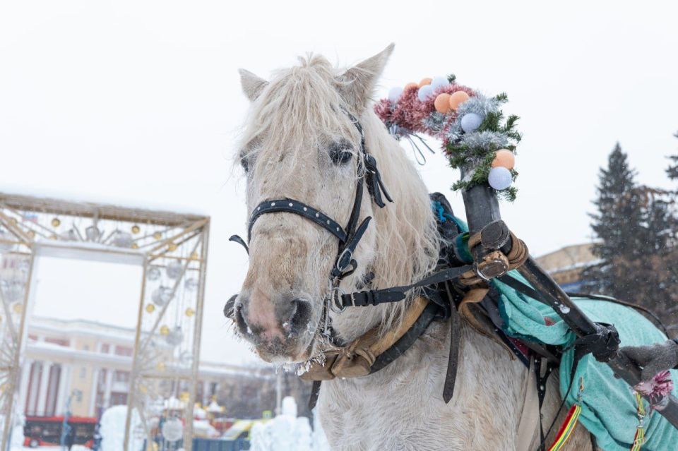 �� ������� ������� ������ �������� �������� ������� �������