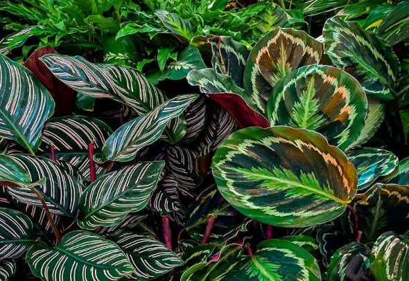 ��������� ����� �� ���������: ������� � ������ ��� �������� ��������� ���