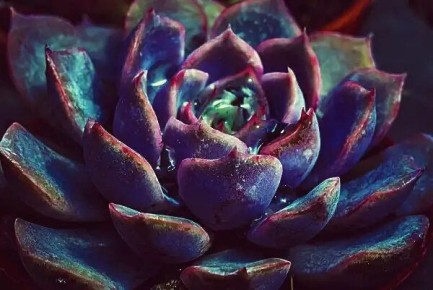 �������� ����: ��� ���������� ����� �������� ������� ��������� ����