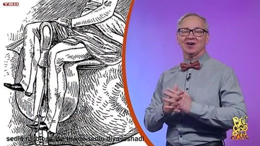 Всё обо всём. Женское седло. Выпуск от 29.12.25