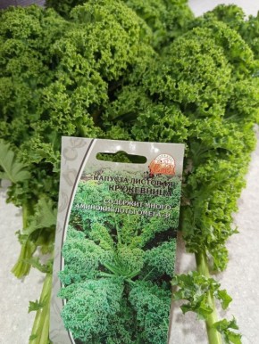 �������� ������� ����������: ��������� ��������� ������� � ������ �� ����� �������