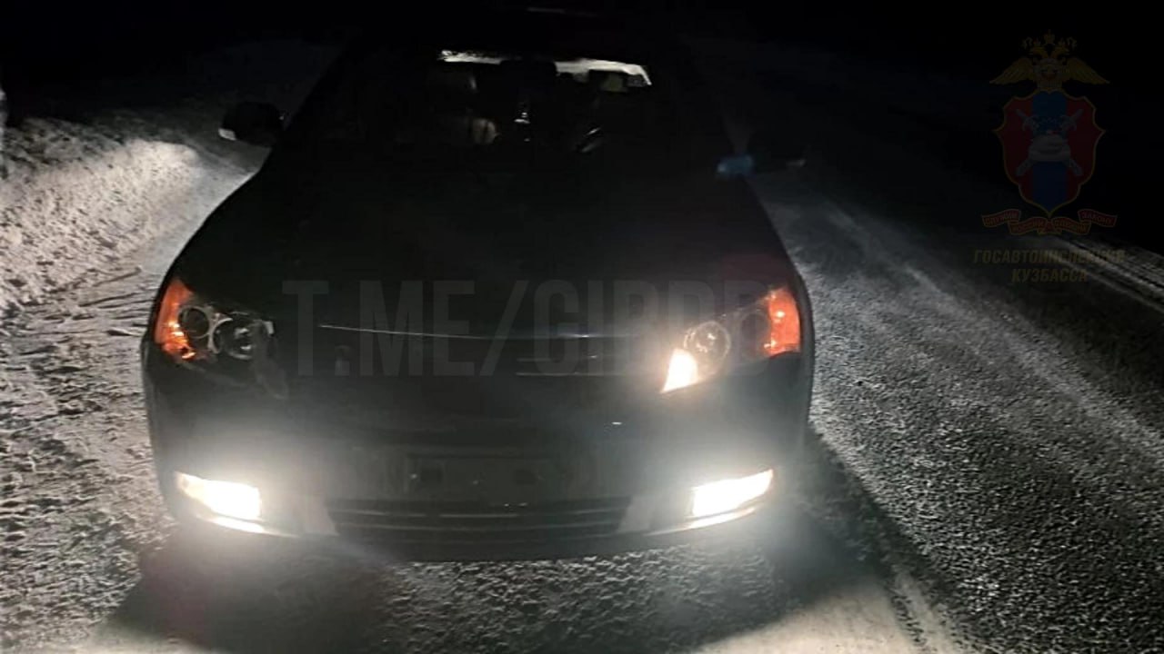 Как избежать ДТП с животными Как избежать ДТП с животными