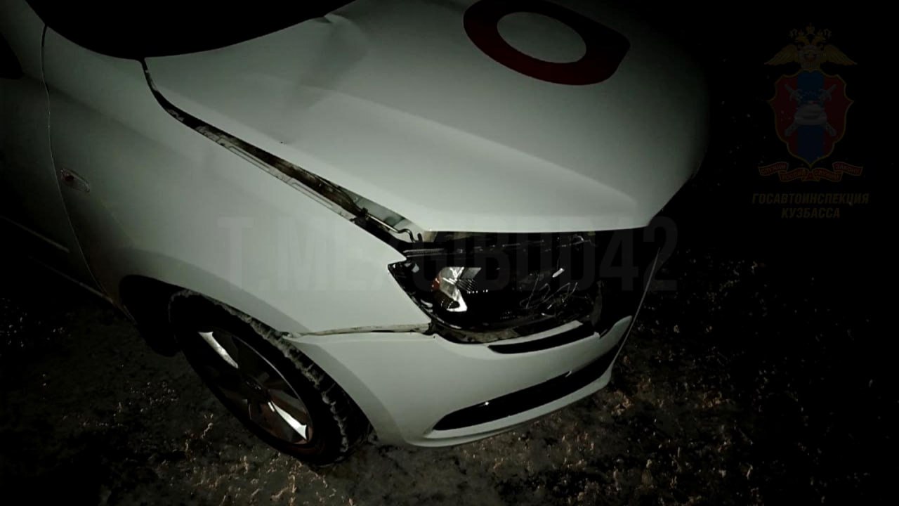 Как избежать ДТП с животными Как избежать ДТП с животными