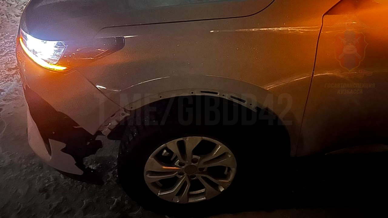 Как избежать ДТП с животными Как избежать ДТП с животными