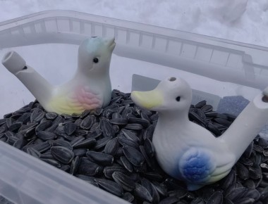 Почему вытяжка - лучший друг вашей кухни: мнения экспертов